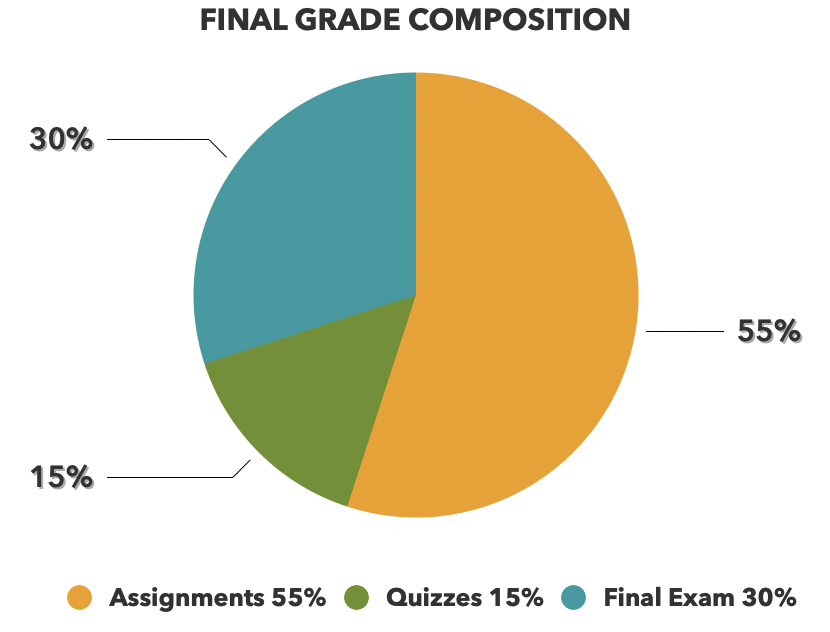 Pie chart visualization of score distribution